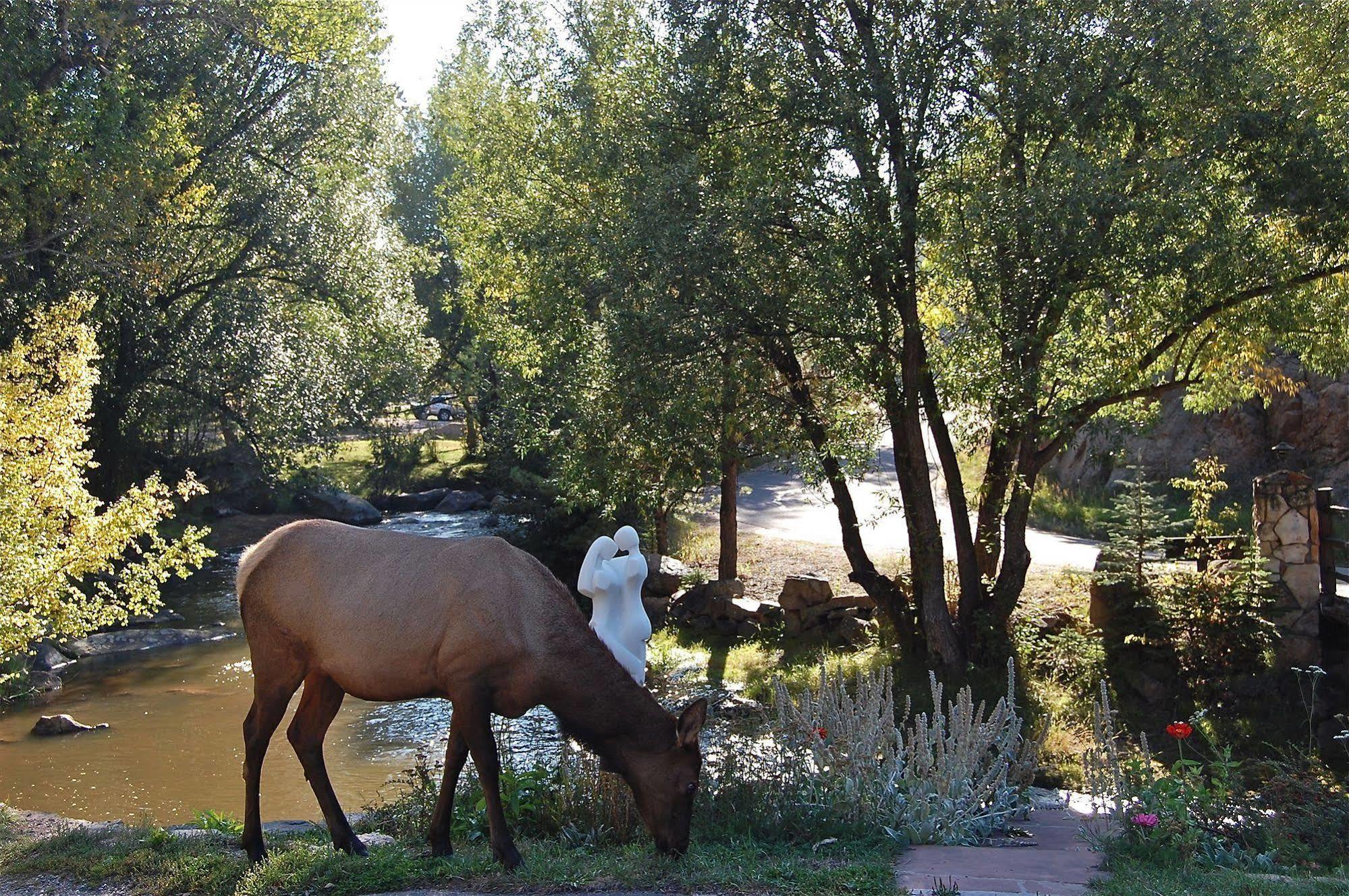 Highland Haven Creekside Inn Evergreen Bagian luar foto